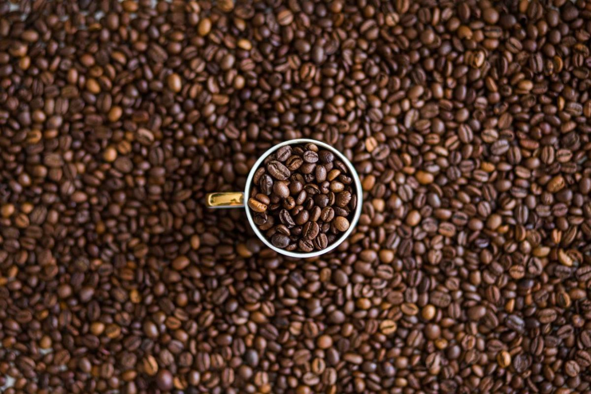 639197942742358848_robusta-9.jpg